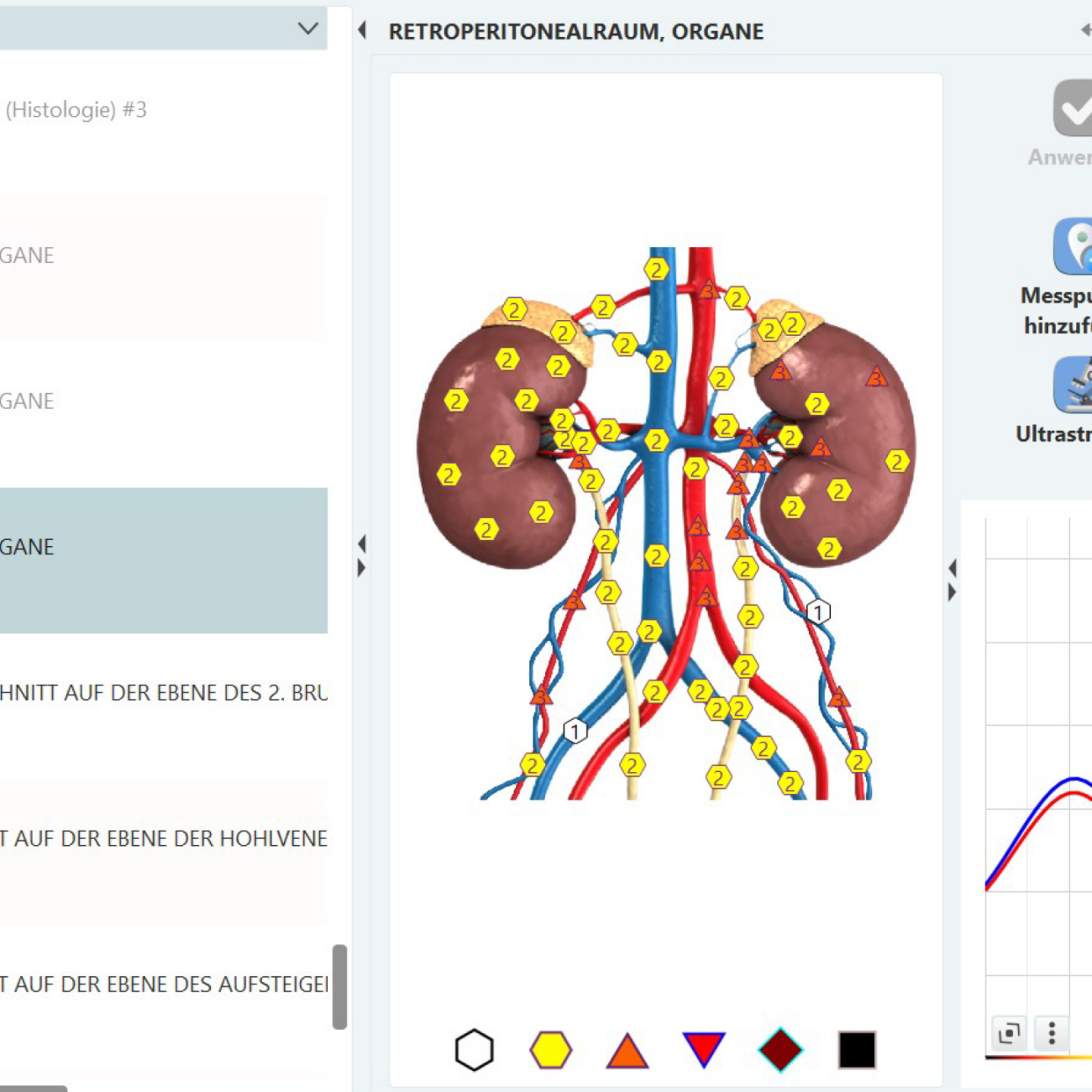 Metavital_Nieren_nachher